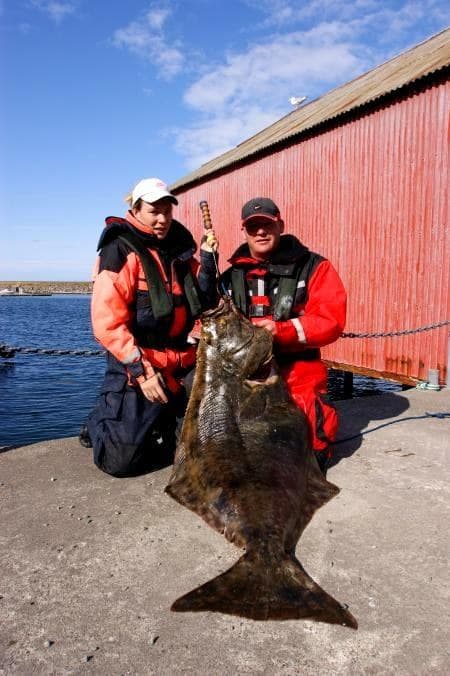 Zwei Angler mit einem 42,5 Kilo schweren Heilbutt am Steg